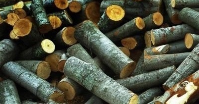 Аспен дърва за огрев